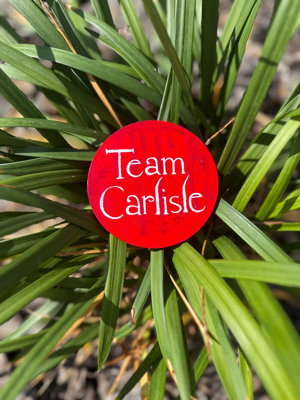 Team Carlisle Twilight Inspired Magnet displayed on a plant