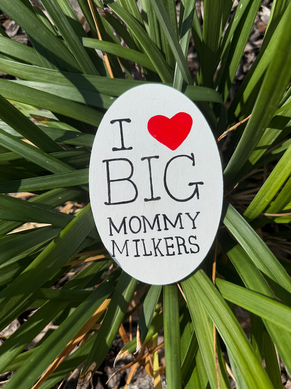 hand-painted I Love Big Mommy Milkers Magnet displayed on a plant