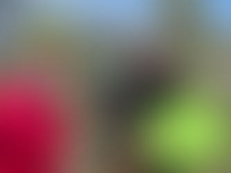 DÉFI QUÉBECEN SANTÉ