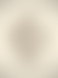 Flying Fish shaped amulet