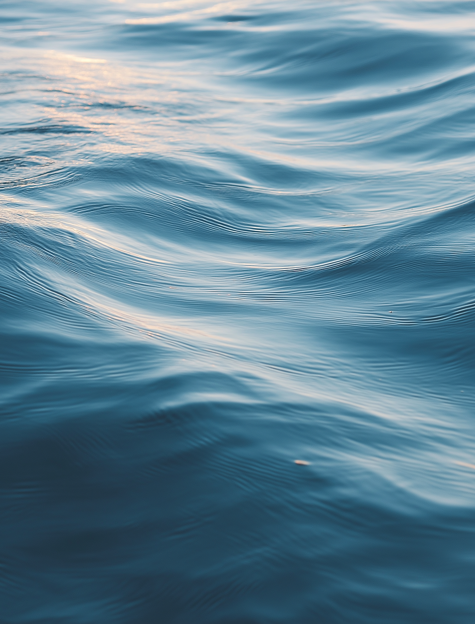 Image of soft wave by Chalk 33 Studio