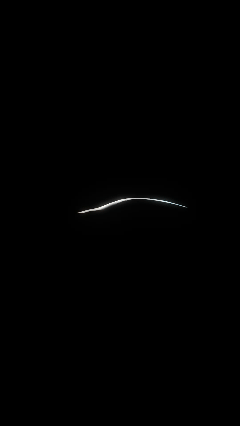 30.01.gif