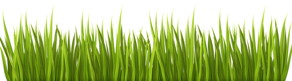 grass-png-transparent-23.png