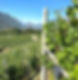 IMG_27B3482B2973-1.jpeg