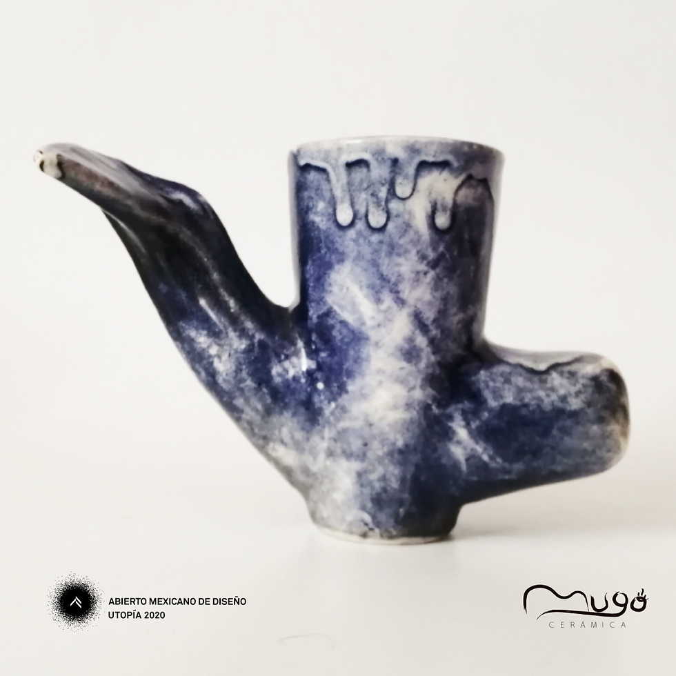Miniatura: Cachalote / Sperm whale