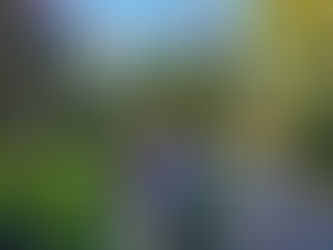 MEL 이론에 대한 미국 버클리 대학 독립 연구팀 실험 검증 계약 완료