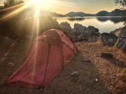 Camping spot and Stray Doggy, day 3.jpg