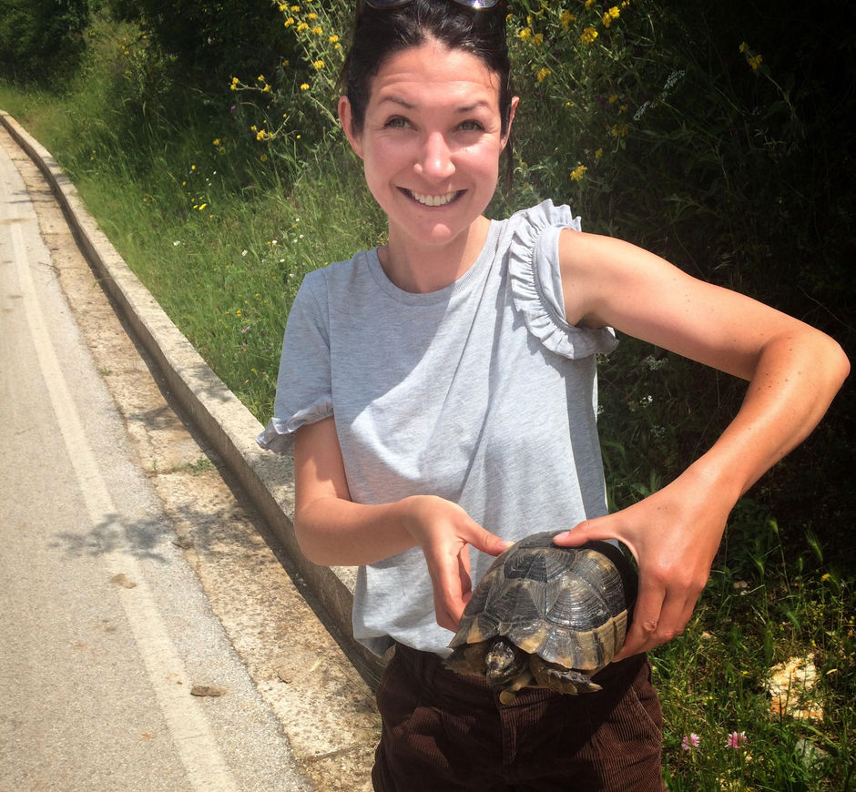 Why did the tortoise cross the road?
Encounters with the daredevil Testudines of Eastern Europe