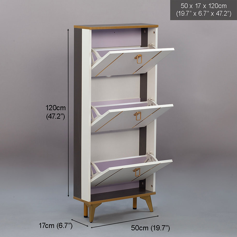 Thumbnail: SOCE042 - Modern Minimalist Slim Shoe Cabinet