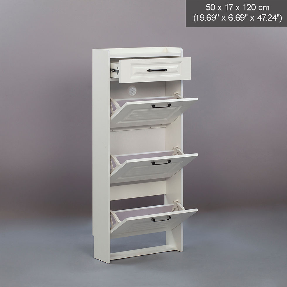 Thumbnail: SOCE009 - Simply Modern Shoe Cabinet with Drawer and Top Storage