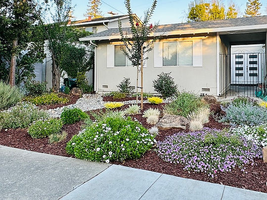 Bien Front (Rachel_web).jpeg