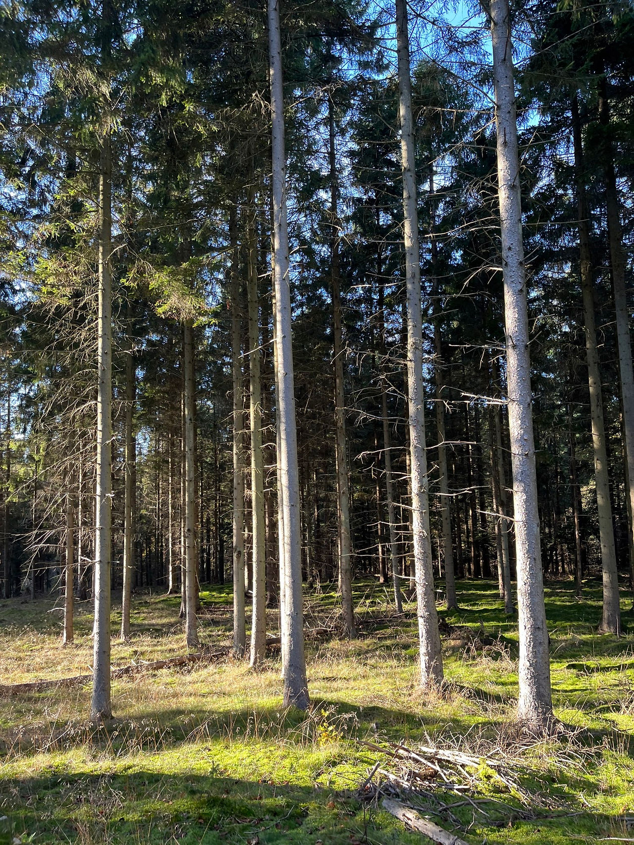 National Park Molsbjerge Central Jutland