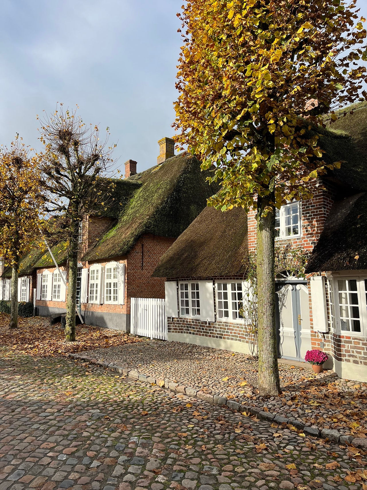 Møgeltonder