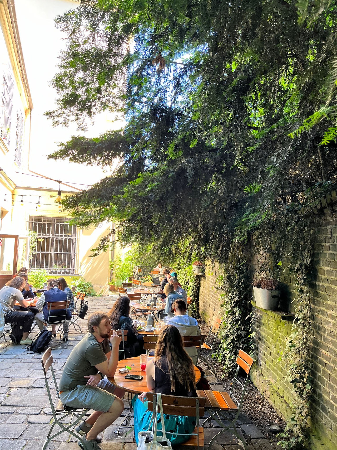 Cafe Podnebi Brno