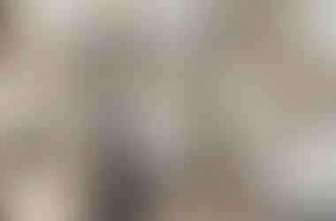 tHuis aan de Beek Loft