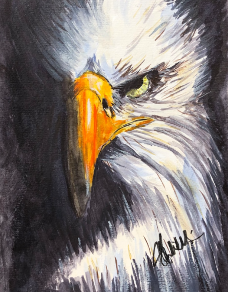 Angry American Eagle — wildlife eagle fine art print by Jeff Williams | River Horse Art Gallery