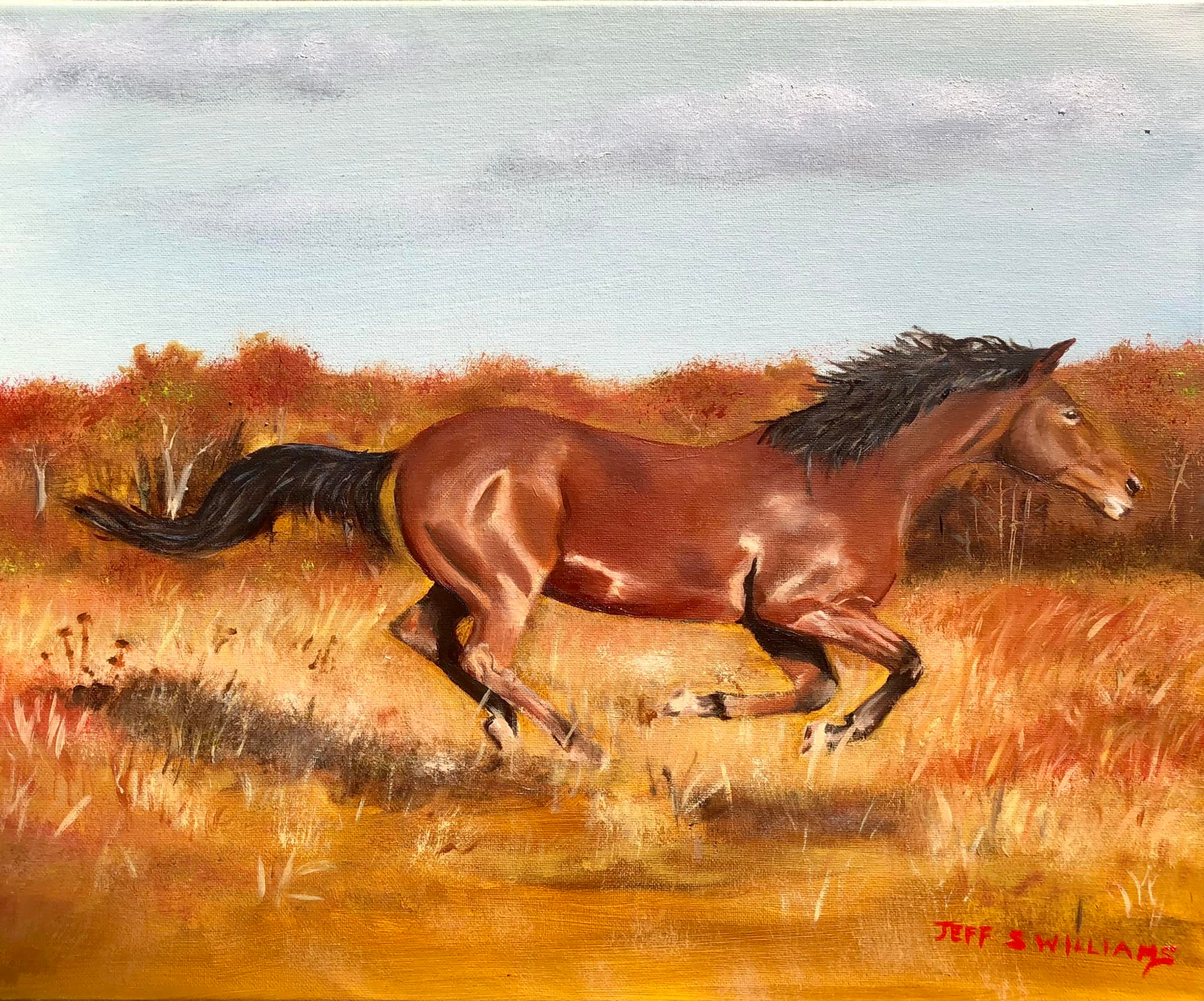 Horse #1 - Horse Wall — horse animal fine art print by Jeff Williams | River Horse Art Gallery