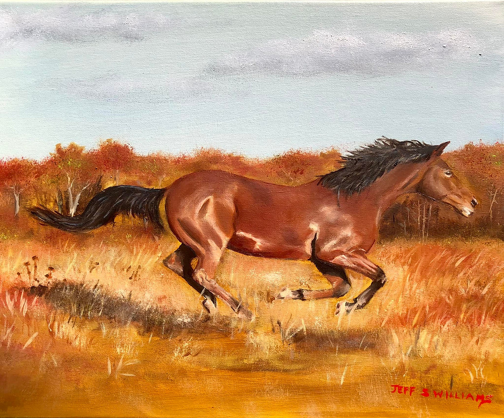 Horse #1 - Horse Wall — horse animal fine art print by Jeff Williams | River Horse Art Gallery