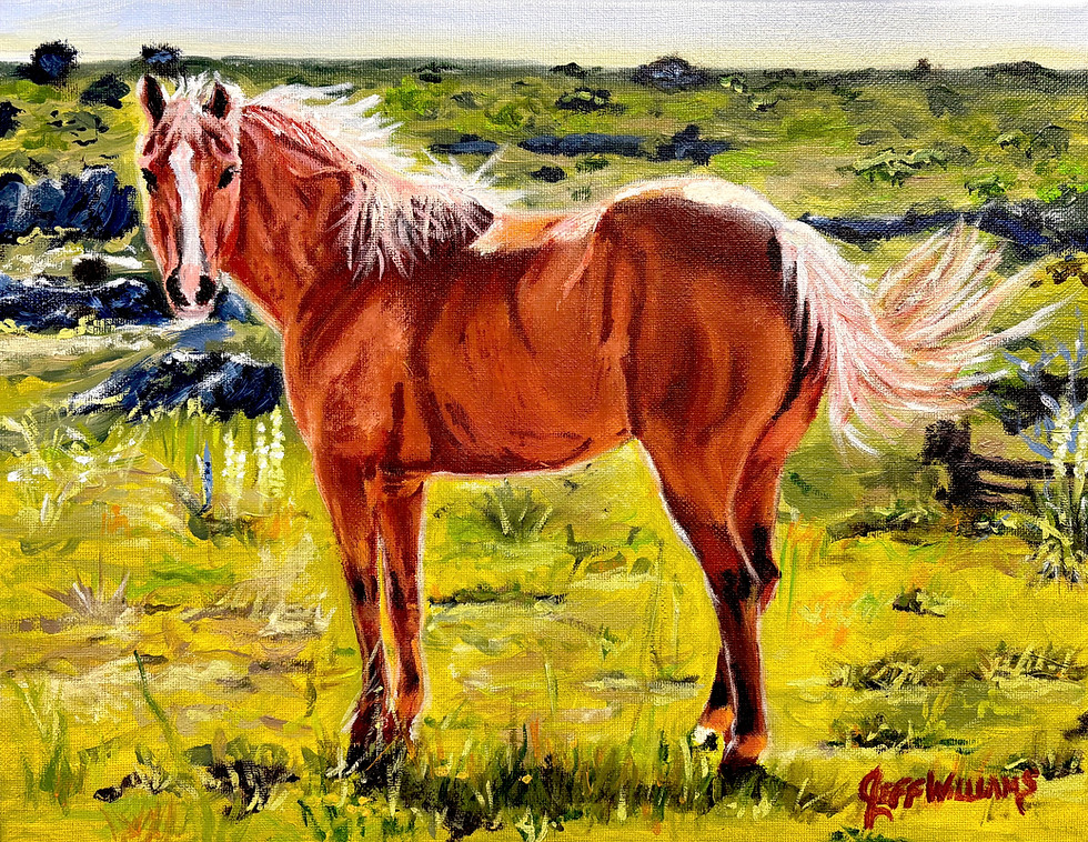 Blondie On The Plains — horse animal fine art print by Jeff Williams | River Horse Art Gallery