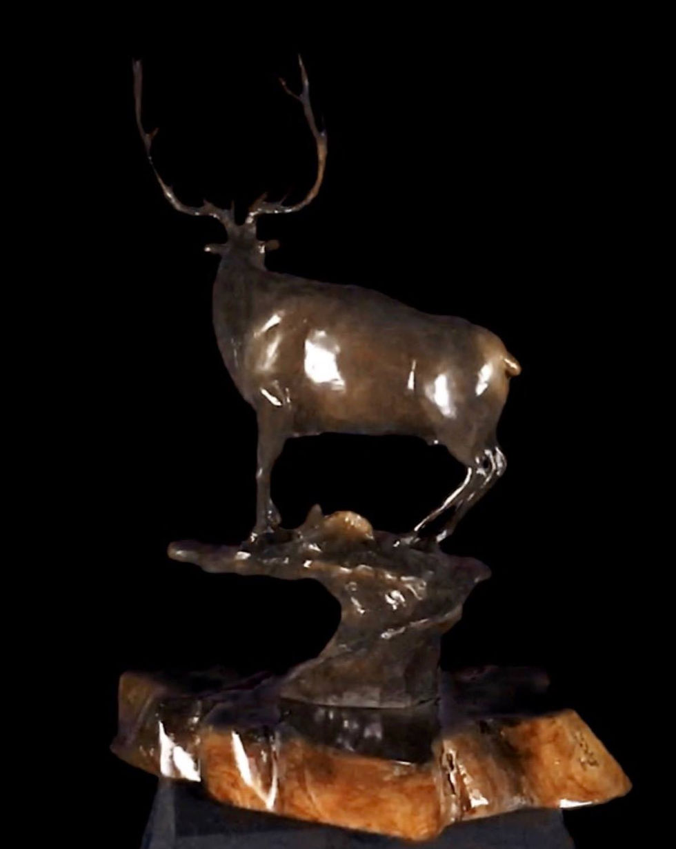 Thumbnail: Wapiti - Bull Elk — original wildlife bronze elk sculpture by Jeff Williams | River Horse Art Gallery