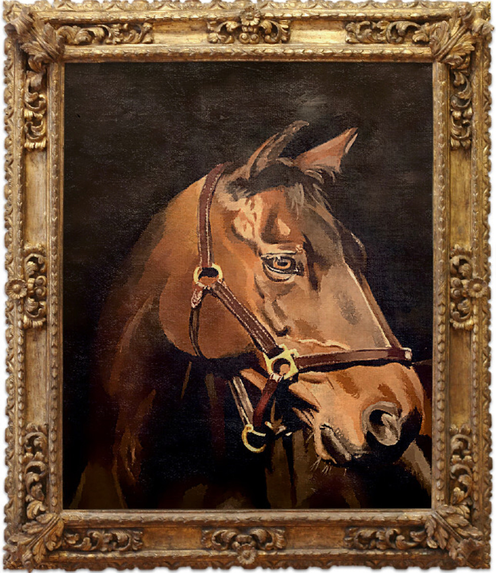 Maximus — horse animal fine art print by Jeff Williams | River Horse Art Gallery