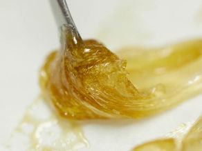 Cannabis Concentrates 101: What They Are & Why People Love Them