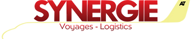 Logo Synergie Transparent.png