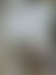 ウォールボンド工業（株）工場見学