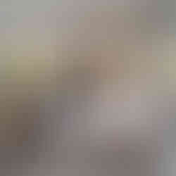 "The Art of Partitioning: Discover Moonday’s Exclusive Divider Collection"