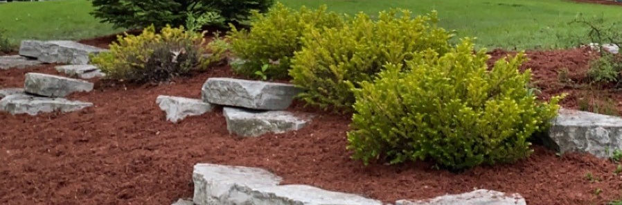mulch_1.jpg