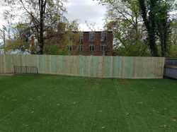 photo5