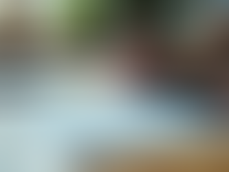 Effective Debt Management Strategies for Success