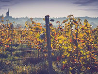 DSCN0563.jpg