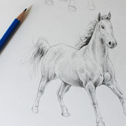 A Bad Horse Day