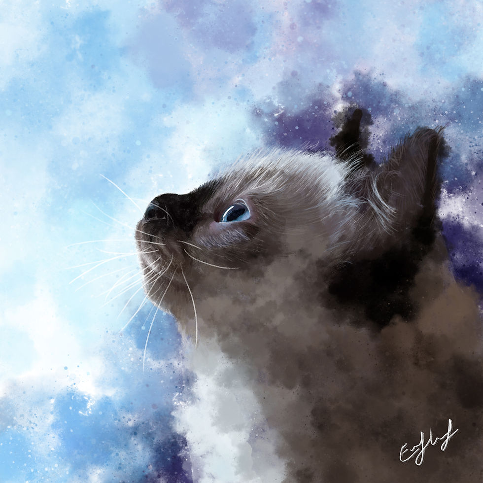 Miniature : Voucher