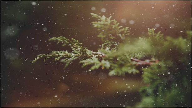 25 Advent Waiting.jpg