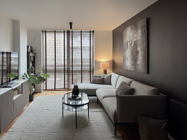 studio-epsilon-residential-interior-dark-living-room