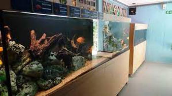 Wasserbillig Aquarium