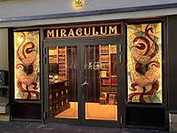 Miraculum Escape Room