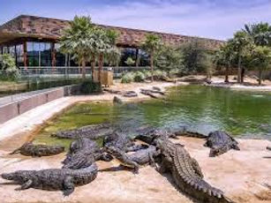 Dubai Crocodile Park