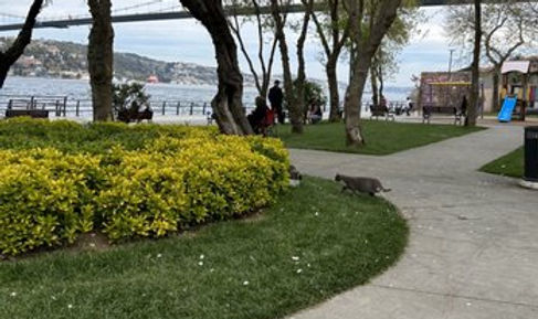 Kuzguncuk Park