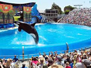 SeaWorld San Diego