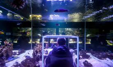 Aquarium d'Amnéville