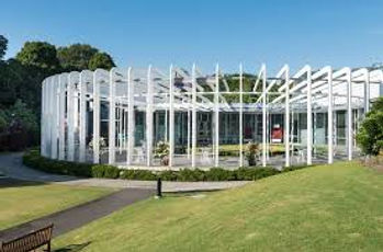 The Calyx
