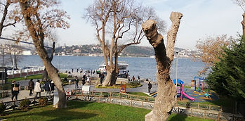 İBB Beylerbeyi Parkı