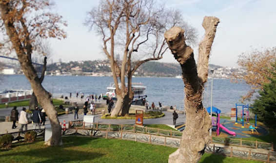 İBB Beylerbeyi Parkı