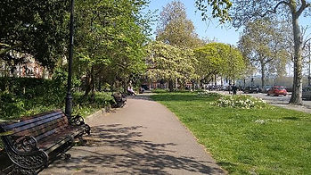 Chelsea Embankment Gardens
