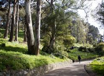 Buena Vista Park