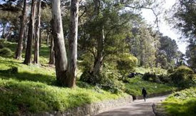 Buena Vista Park