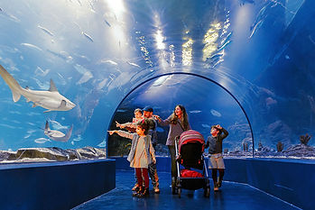 Atlantis Aquarium Madrid